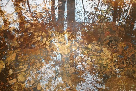 5 things to do: 'Shadow and Light,' Midsummer Music Festival | Atlanta News & Opinion Blog | Fresh Loaf | Creative Loafing Atlanta | OnTheGo | Scoop.it