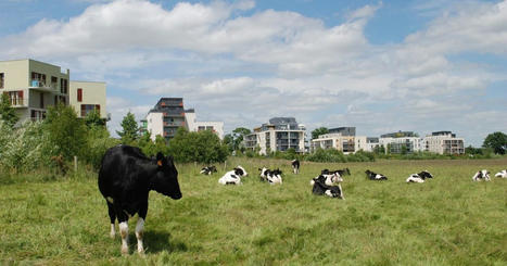 Créer son habitat en zone agricole ou naturelle est-il légal ?  | Build Green, pour un habitat écologique | Scoop.it