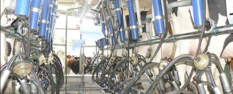 Ce que signifie le prix de revient publié par l’Idele | Economie de l'Elevage | Scoop.it