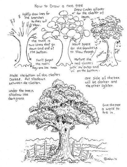 Tree Drawing Reference Guide | Drawing References and Resources | Scoop.it