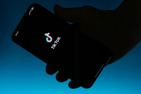 TikTok accus&eacute; de favoriser les partis politiques d'extr&ecirc;me droite | LA CURATION DE CONTENU DANS UN ENVIRONNEMENT NUM&Eacute;RIQUE | Scoop.it