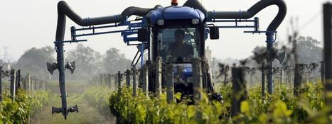 Ouvrier agricole exposé aux pesticides et mort d'un cancer : sa sœur annonce un pourvoi en cassation | décroissance | Scoop.it