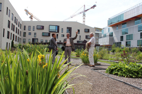 Le quartier Humanicité poursuit sa mutation et met en lumière la ... - La Voix du Nord | Université Catholique de Lille | Scoop.it