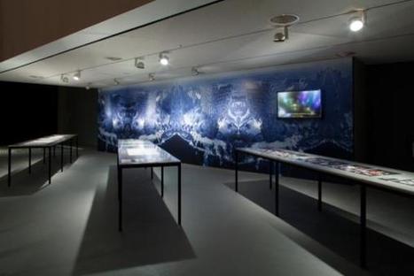Interview: Looking at Alien Matter with Inke Arns - By Chloe Stavrou | furtherfield.org | Digital #MediaArt(s) Numérique(s) | Scoop.it