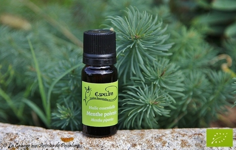 Huile essentielle de Menthe poivrée (Mentha piperita) bio | La Cabane aux Arômes | Scoop.it