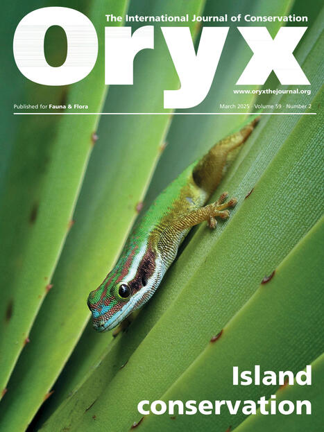 Current distribution of Phelsuma inexpectata, a threatened Réunion Island endemic gecko - Oryx | Biodiversité | Scoop.it