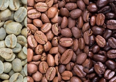 purchase coffee beans