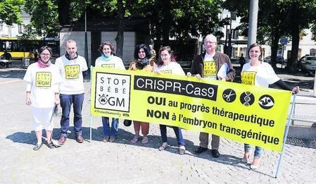 «Stop Bébé OGM» : début de campagne | Bioéthique & Procréation | Scoop.it