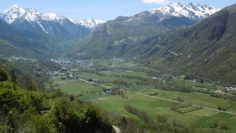 Lannemezan. Maladie de Lyme : des pistes pour se protéger des tiques | Vallées d'Aure & Louron - Pyrénées | Scoop.it