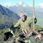 Il faut sauver le berger Cerrada | Pastoralisme Ours Loups Lynx | Scoop.it