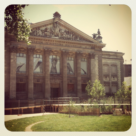 Estuaire s'installe au muséum d'histoire naturelle | Voyage à Nantes | Scoop.it