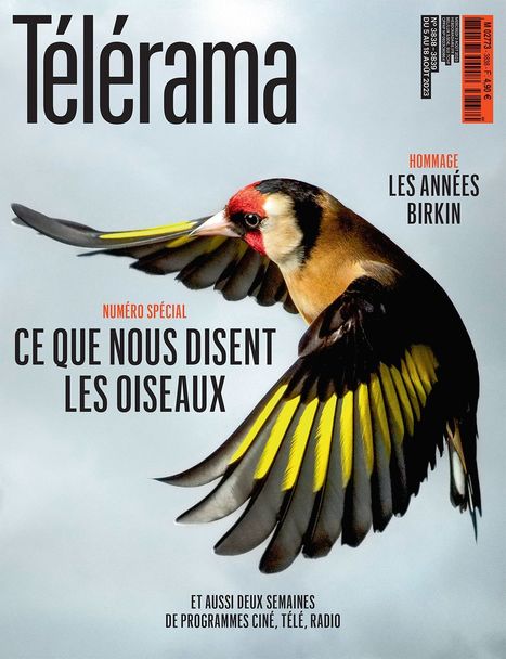 Toqués d’ornithologie et serial-collectionneurs : qui sont les cocheurs ? Télérama | Biodiversité | Scoop.it