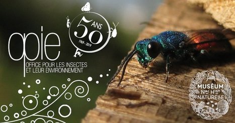 REPORTÉ - 50 ans de l'Opie : colloque "Demain, des insectes ?" | Variétés entomologiques | Scoop.it