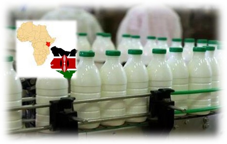 Kenya : l’exécutif veut construire une unité de traitement de lait de 5,2 millions $ | Lait de Normandie... et d'ailleurs | Scoop.it