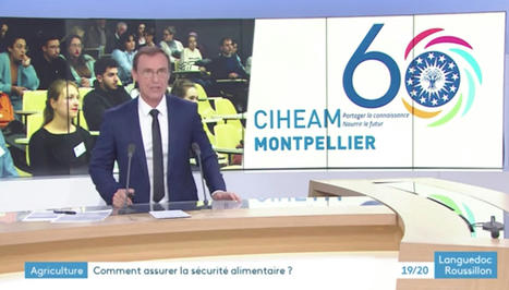 CIHEAM : Reportage France3, 60 Ans Du Ciheam Montpellier… | CIHEAM Press Review | Scoop.it