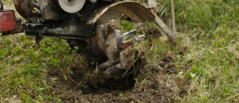 Gazon : Préparer son sol sur terrain sec | Les nouveaux gazons résistants | Scoop.it