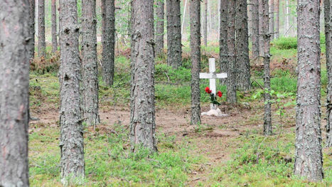 KRP:lle runsaasti vihjeitä sisällissodan metsähaudasta – teloitettujen haudalle tuotu punaisia ruusuja | 1Uutiset - Lukemisen tähden | Scoop.it