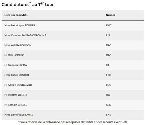 10ème circonscription (3110) - Elections Législatives 2024 - | Lacroix-Falgarde | Scoop.it