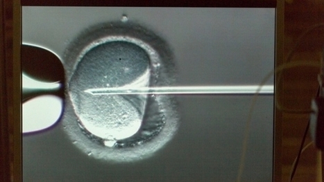 Suisse : Diagnostic pr&eacute;implantatoire bient&ocirc;t autoris&eacute; | Bio&eacute;thique & Procr&eacute;ation | Scoop.it