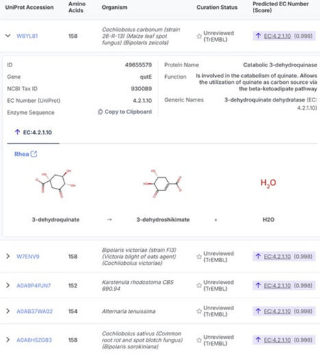 CLEAN Database: providing enzyme function coverage for over 55 million sequences | nar | RMH | Scoop.it