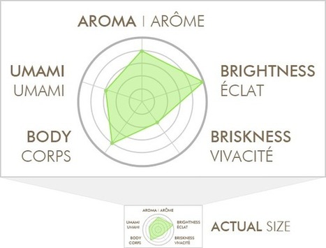 How Not to Visualize Your Data | SEOmoz | Public Relations & Social Marketing Insight | Scoop.it