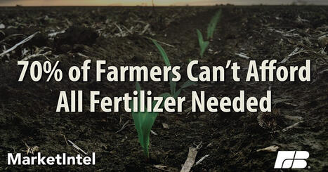 US : A survey reveals real impact of fertilizer availability and price&nbsp; | AM&Eacute;RIQUES | Scoop.it
