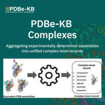 PDBe-KB Complexes: Enabling Functional Insight from Macromolecular Complexes in the PDB | jmb | RMH | Scoop.it