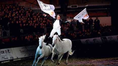 C'est parti pour Cheval Passion à Avignon ! | Salon du Cheval | Scoop.it