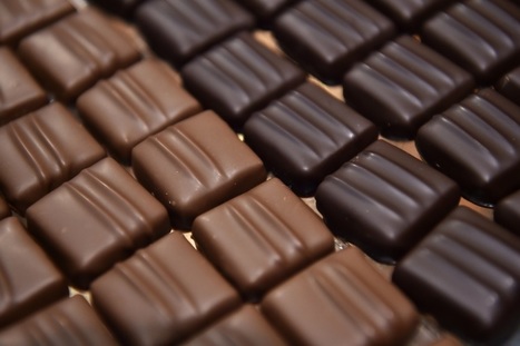 Le risque d'une pénurie de chocolat de plus en plus présent | Les Colocs du jardin | Scoop.it