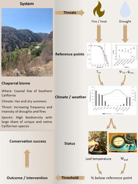 Plant physiological indicators for optimizing conservation outcomes - Conservation Physiology | Biodiversité | Scoop.it