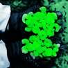 Industry 411 - Waste Management
