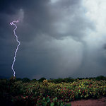 The Weatherman Is Not a Moron | Coffee Party Science | Scoop.it