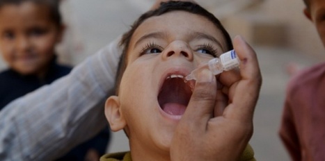 Polio: réunion d'urgence suite à de nouveaux cas | 16s3d: Bestioles, opinions & pétitions | Scoop.it