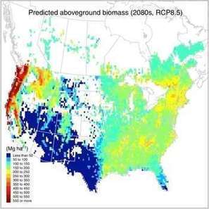 New research calculates capacity of North American forests to sequester carbon | Timberland Investment | Scoop.it