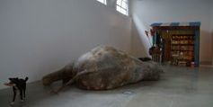 Huang Yong Ping refait le monde au Musée d'art contemporain de Lyon | Art Contemporain & Culture | Scoop.it