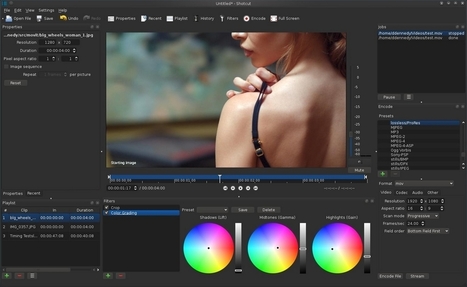 Meltytech, LLC. Shotcut [Free, Open Source, Cross-Platform Video Editor] | Freakinthecage Webdesign Lesetips | Scoop.it