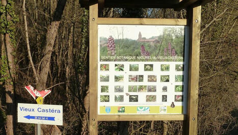 Castéra-Verduzan. Balades dans le Gers : le bonheur en marchant dans le pays castérois | Professionnels du tourisme du Grand Auch Cœur de Gascogne | Scoop.it
