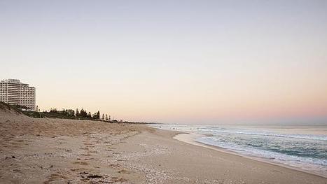 SHARK PLAN: WA's baited beaches will cost $1m this summer | Soggy Science | Scoop.it