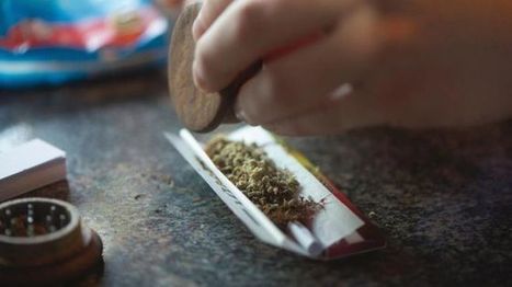 Those Dutch drug laws in a nutshell: 5 things to know about pot policy in the Netherlands | Beckley News : Cannabis - Marijuana | Scoop.it