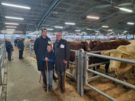 Foire aux culards de Châteaubriant : une légère baisse des transactions | Actualité Bétail | Scoop.it