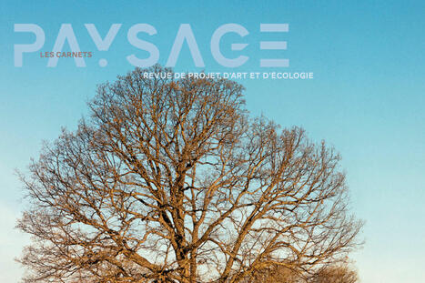 &laquo;&nbsp;Les Carnets du paysage&nbsp;&raquo; mettent &agrave; l&rsquo;honneur Frederick Law Olmsted, architecte de la nature | architecture, urbanisme, environnement, paysage, &eacute;nergie, territoires... : le fil d'actu de la FNCAUE | Scoop.it