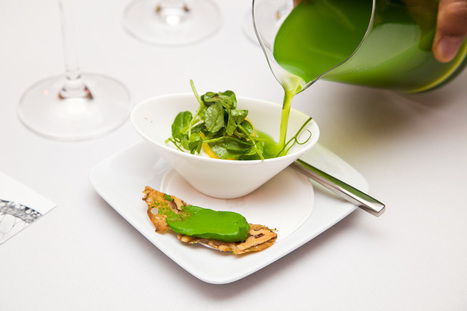 'Modernist Cuisine at Home' gets Best App of the Year award | Modernist Cuisine | Scoop.it