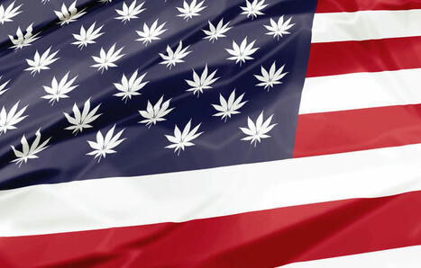 The Rise and Fall of the Cannabis Industry - Is There Any Hope Under Trump 2.0? | Cannabis.Net | Scoop.it