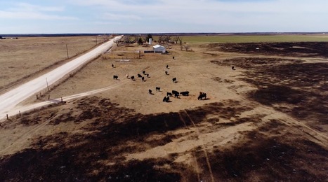 US : Growing markets by focusing on borders | L'ECHO DEMETER | Scoop.it