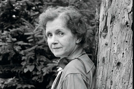 Rachel Carson, pionnière de l’écologie politique et « première grande lanceuse d’alerte » | Insect Archive | Scoop.it