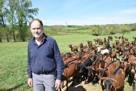 Des Capra-Box pour individualiser la distribution des concentr&eacute;s aux ch&egrave;vres | SCIENCES DE L' ANIMAL | Scoop.it