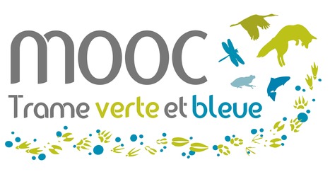 Cours&nbsp;: MOOC Trame verte et bleue | ECOLOGIE - ENVIRONNEMENT | Scoop.it