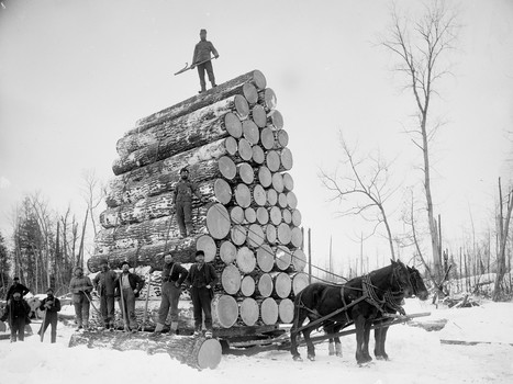 The first American settlers cut down millions of trees to deliberately engineer climate change | Futures Thinking and Sustainable Development | Scoop.it