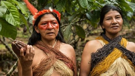 Les Indiens d’Amazonie renouvellent leurs traditions pour défendre la biodiversité | Biodiversité | Scoop.it
