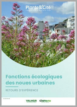 Fonctions écologiques des noues urbaines : retours d'expérience | ESPACES VEGETALISES URBAINS | Scoop.it